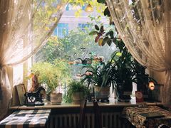 靠窗位-露西亚咖啡西餐厅(哈尔滨俄侨纪念馆店)