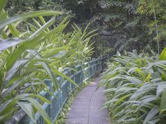 -广州兰圃