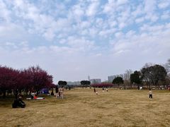 -长广溪湿地公园