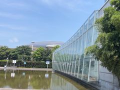 -金陵图书馆