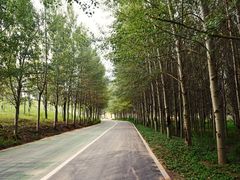 -赛汗塔拉风情园