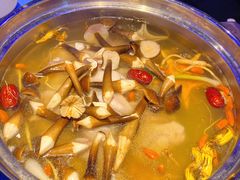 -千岛蚝高压锅生蚝·人参火锅(白云万达店)