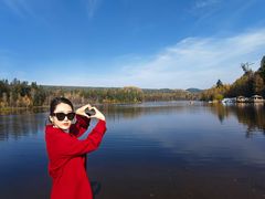 -五营红松林海景区