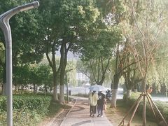 -天鹅湖体育公园