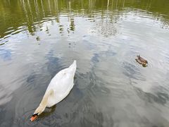 -呀诺达热带雨林