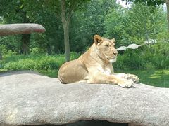 -北京野生动物园