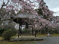 -醍醐寺