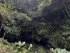 -海口火山口国家地质公园