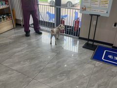 -宠颐生宠物医院·综合诊疗(先锋分院)
