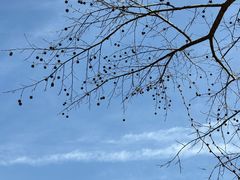 -天台山赤城山景区