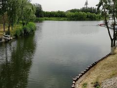 -大兴滨河森林公园