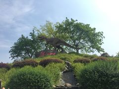 景点-自贡恐龙博物馆