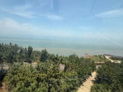 -摩天岭风景区