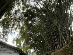 -和顺古镇