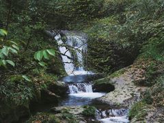 -龙苍沟森林公园