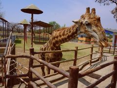 -西安秦岭野生动物园