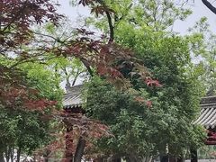 -莲湖公园