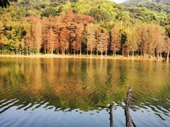 -广州市白云山风景名胜区