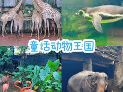 -长鹿旅游休博园