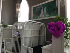 -戛纳印象摄影(潮拍定制馆)