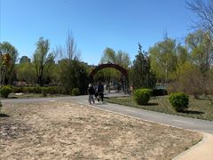 -太阳宫公园