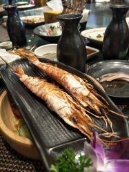-千叶KEER(西铁营万达广场店)