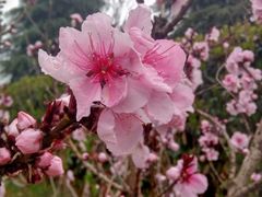 -游子山休闲旅游区