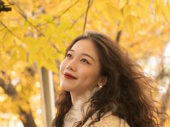 -三里屯东五街银杏大道