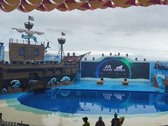 -海合安青岛极地海洋公园