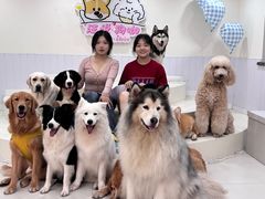 -汪说·狗咖·拼豆·宠物周边DIY(旺城大厦店)