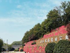 -西安曲江寒窑遗址公园