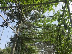 -济南植物园