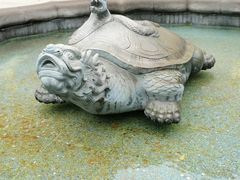 -广东圆玄道观