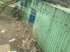 -秦皇岛野生动物园