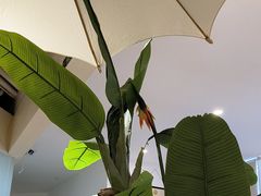 -MORNING  TAI莫柠泰·东南亚泰式餐厅(滨江公园店)
