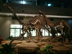 -自贡恐龙博物馆