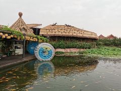-白洋淀景区