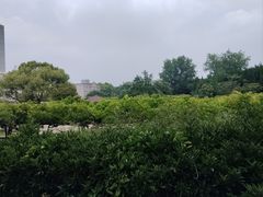 -嘉定紫藤园