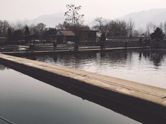 -特种渔场