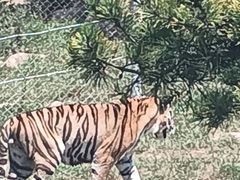 -西霞口神雕山野生动物世界