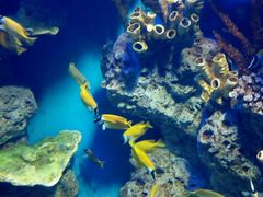 -福州罗源湾海洋世界旅游区