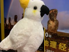 -中海环宇荟