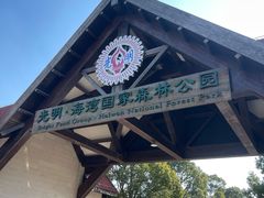 -上海海湾国家森林公园