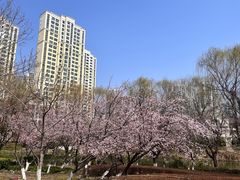 -白塘生态植物园