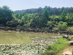 -铁山坪森林公园