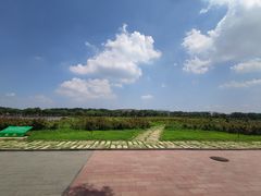 -廊坊文化艺术中心