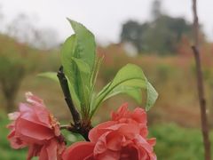 -南宁花花大世界景区