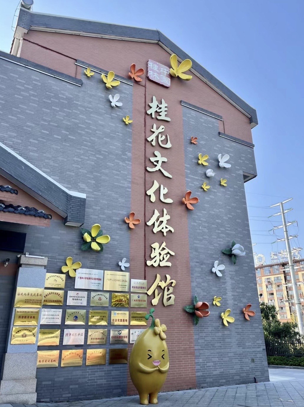 桂林|逛桂花公社😉吃桂花糕和桂花冰淇淋🍦