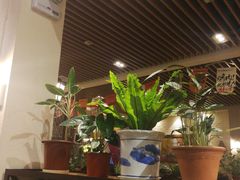 大堂-福苗小骆驼烧烤(曲江店)