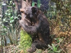 -陕西自然博物馆